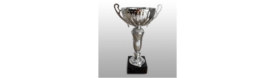 SILVER HANDLED TROPHY CUP ON SILVER RISER AVAILABLE IN 3 SIZES